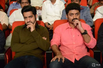 Temper Movie Audio Launch